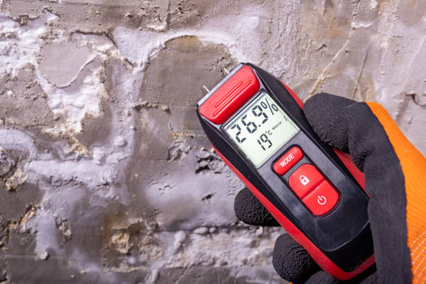 Best Commercial Mold Removal  in Brookings, OR