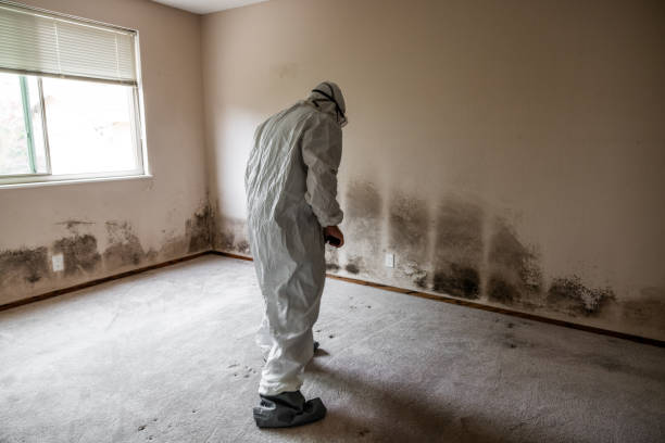 Water Damage Restoration in Brookings, OR